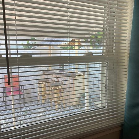 Michaels -Beachside Bungalows سانت بيتي بيتش المظهر الخارجي الصورة